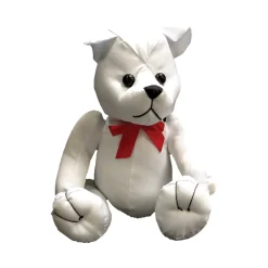 New Windy City Novelties Autograph Bear