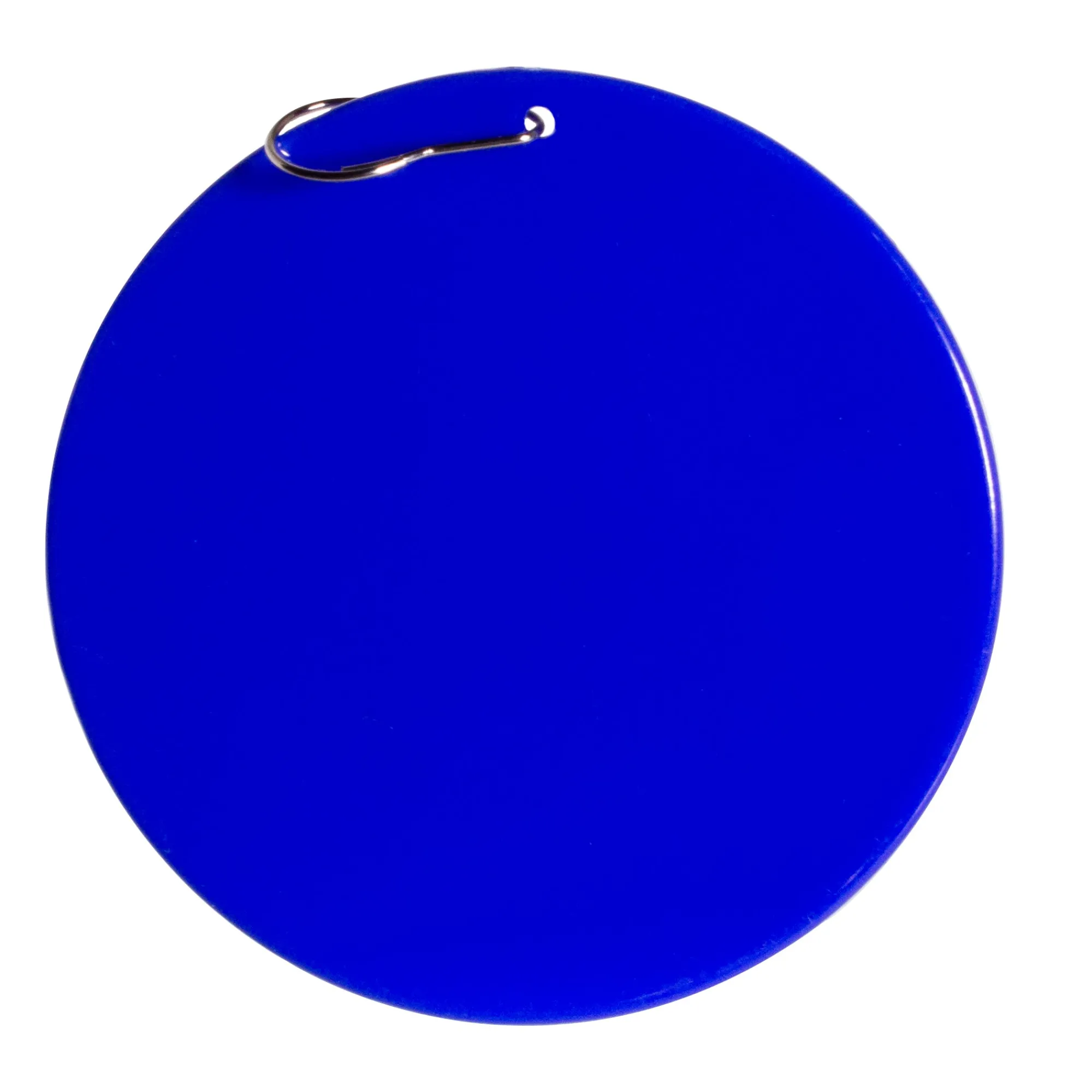 New Windy City Novelties Blue Plastic 2 1/2" Medallion