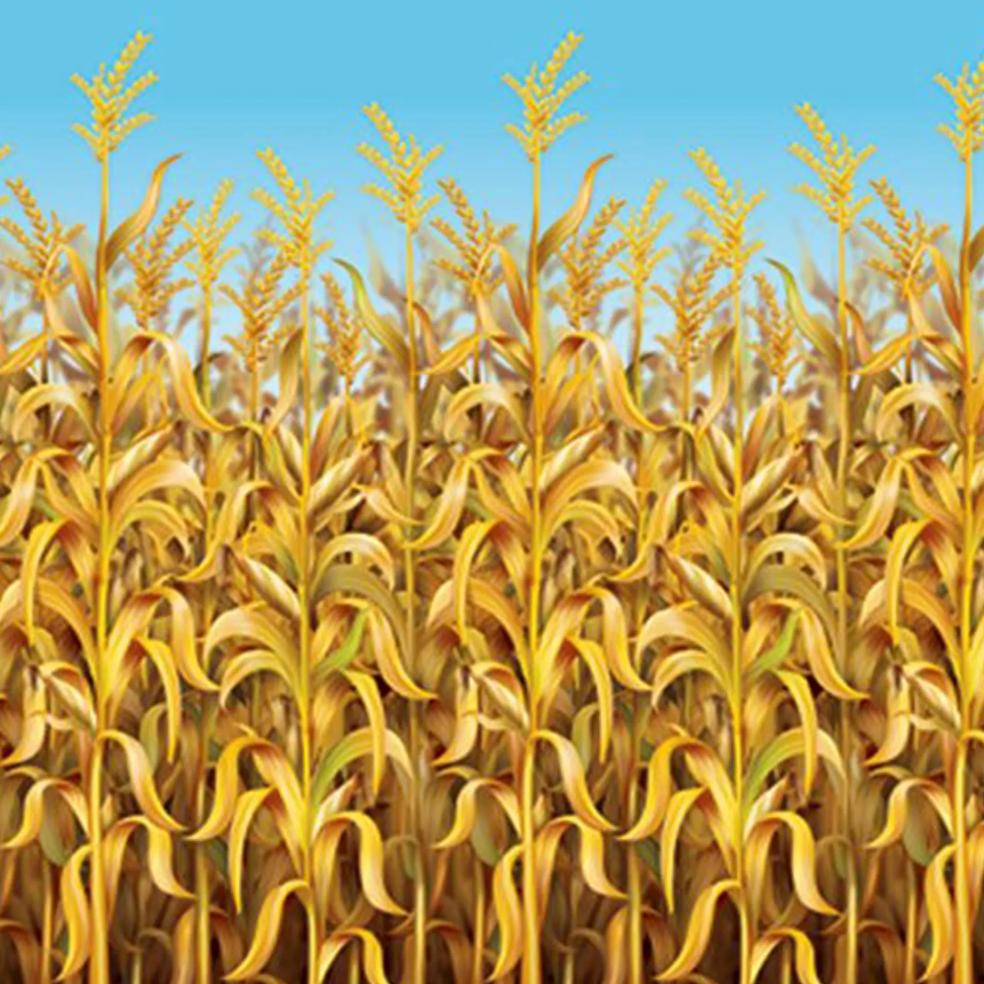 Outlet Windy City Novelties Cornstalks Room Roll