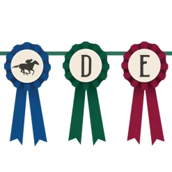 New Windy City Novelties Derby Day Award Ribbon Garland