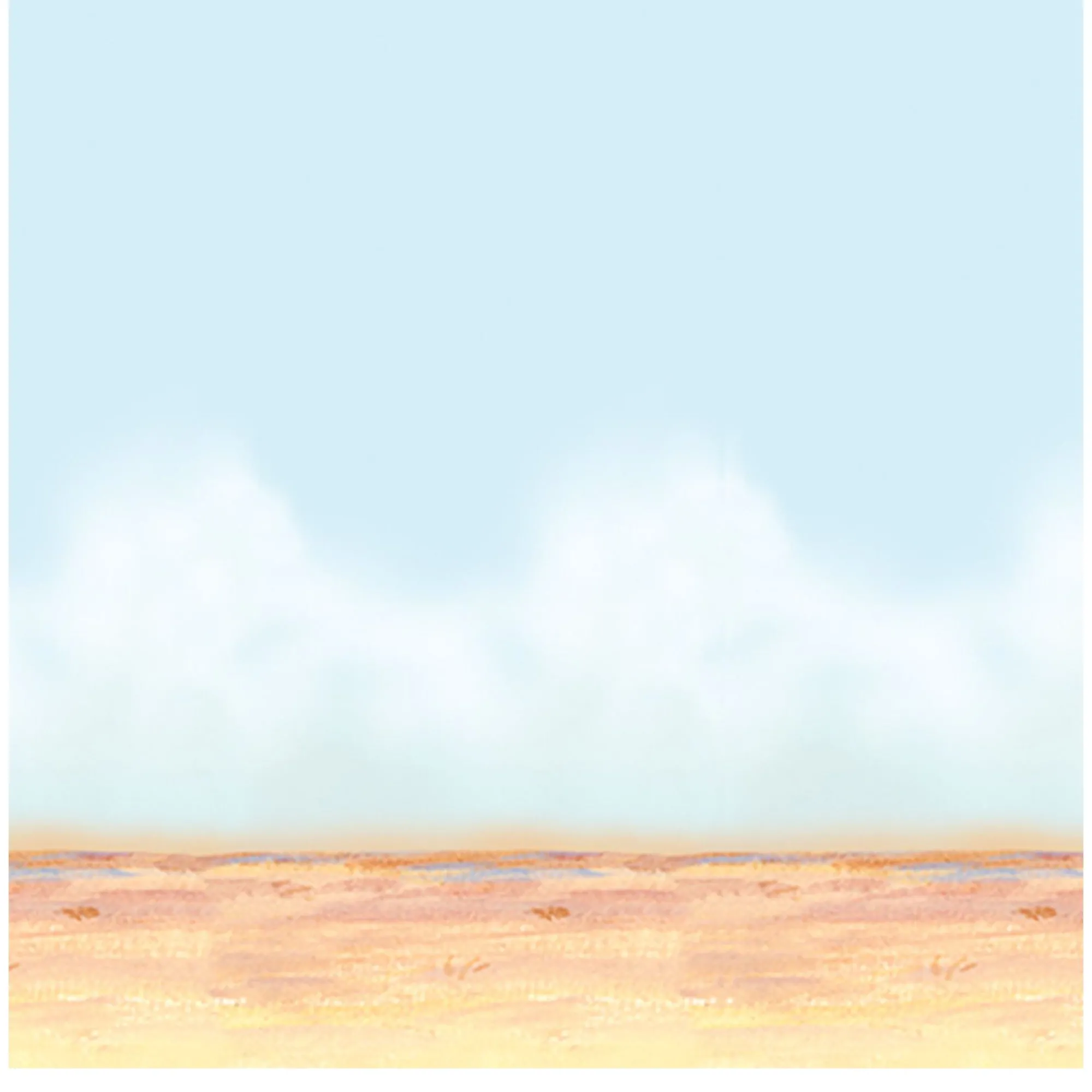 Best Windy City Novelties Desert Sky Room Roll