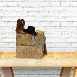 Windy City Novelties 3D Western Centerpiece