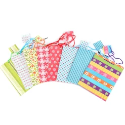 Outlet Windy City Novelties Gift Bags