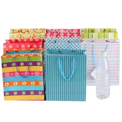 Outlet Windy City Novelties Gift Bags