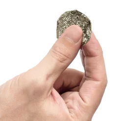 Clearance Windy City Novelties Gold Coins