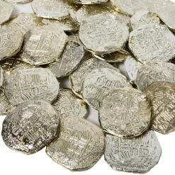 Clearance Windy City Novelties Gold Coins