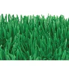 Outlet Windy City Novelties Green Tissue Grass Mats