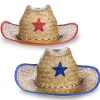 Hot Windy City Novelties Kids' Cowboy Hats