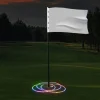 New Windy City Novelties LED Flashing Target Hoop