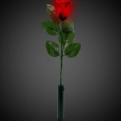 Hot Windy City Novelties LED Multi-Color Roses