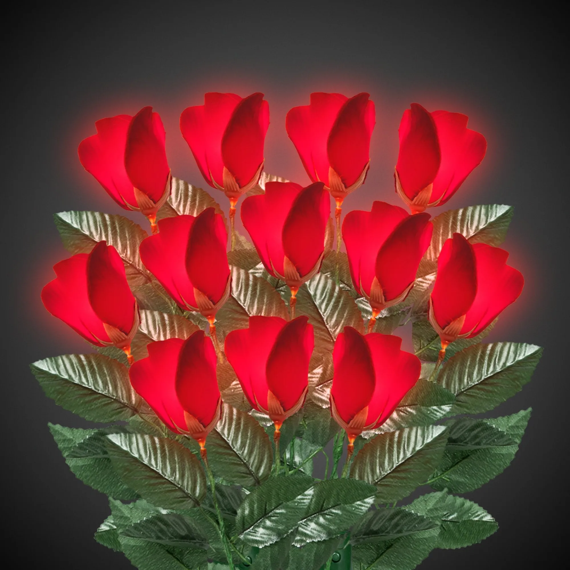 Best Windy City Novelties LED Red Roses