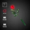 Discount Windy City Novelties LED Red Roses Retail Display