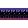 Outlet Windy City Novelties Paparazzi Red Carpet Room Roll