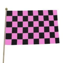 Hot Windy City Novelties Pink Checkered 12"x18" Cloth Flags