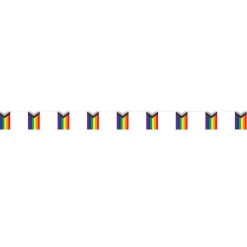 Best Windy City Novelties Progress Pride Flags Pennant Banner
