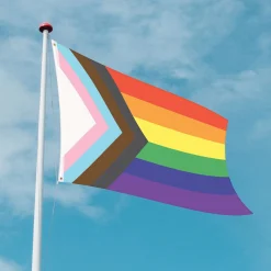 Online Windy City Novelties Progress Pride 36