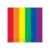 Windy City Novelties Rainbow Lunch Napkins