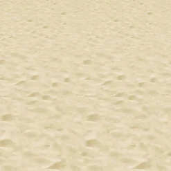 New Windy City Novelties Sandy Beach Room Roll