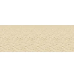 New Windy City Novelties Sandy Beach Room Roll