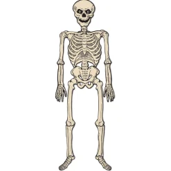 Discount Windy City Novelties Vintage Jointed Skeleton