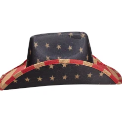 Best Windy City Novelties Vintage Patriotic Cowboy Hat
