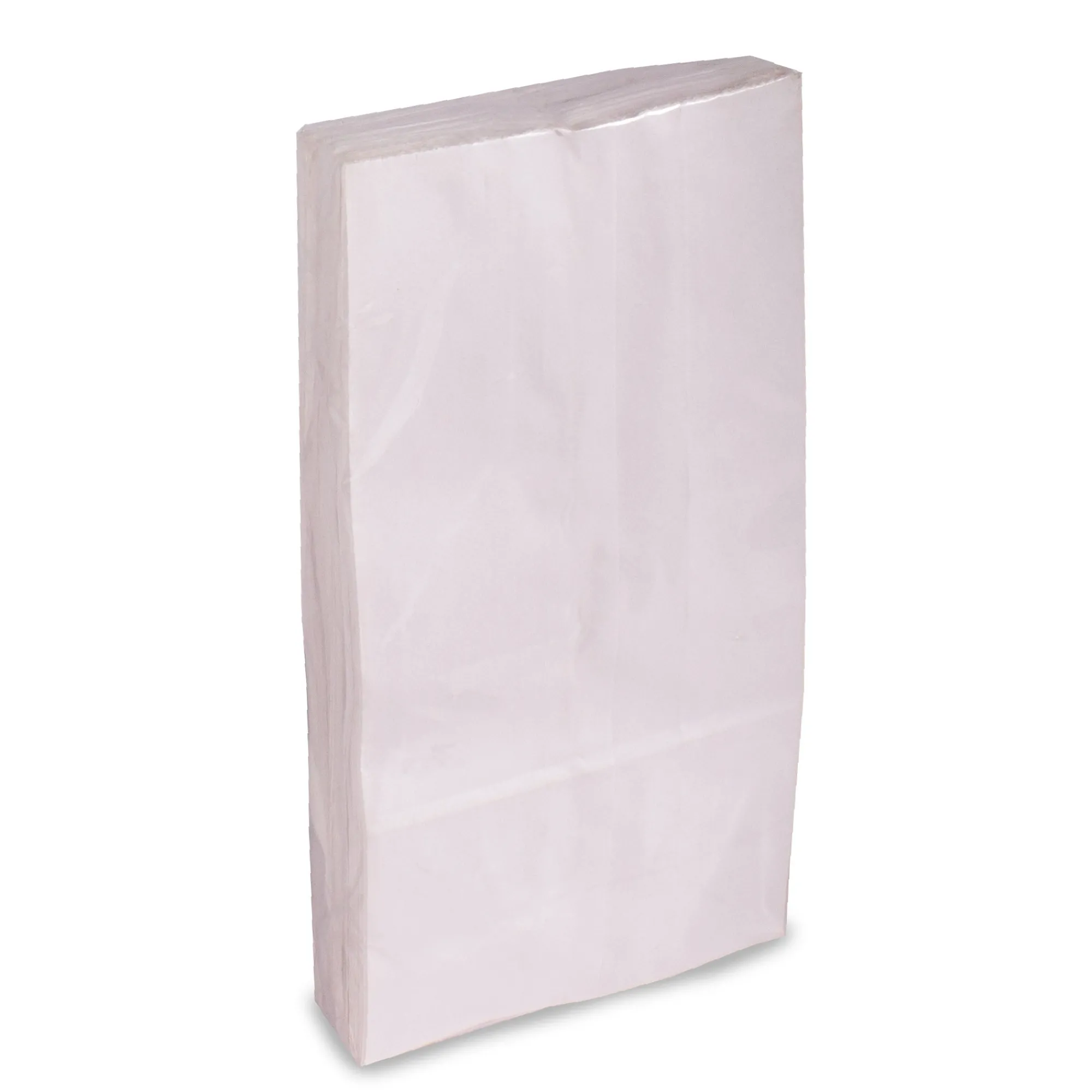 Best Windy City Novelties White Luminary Bags
