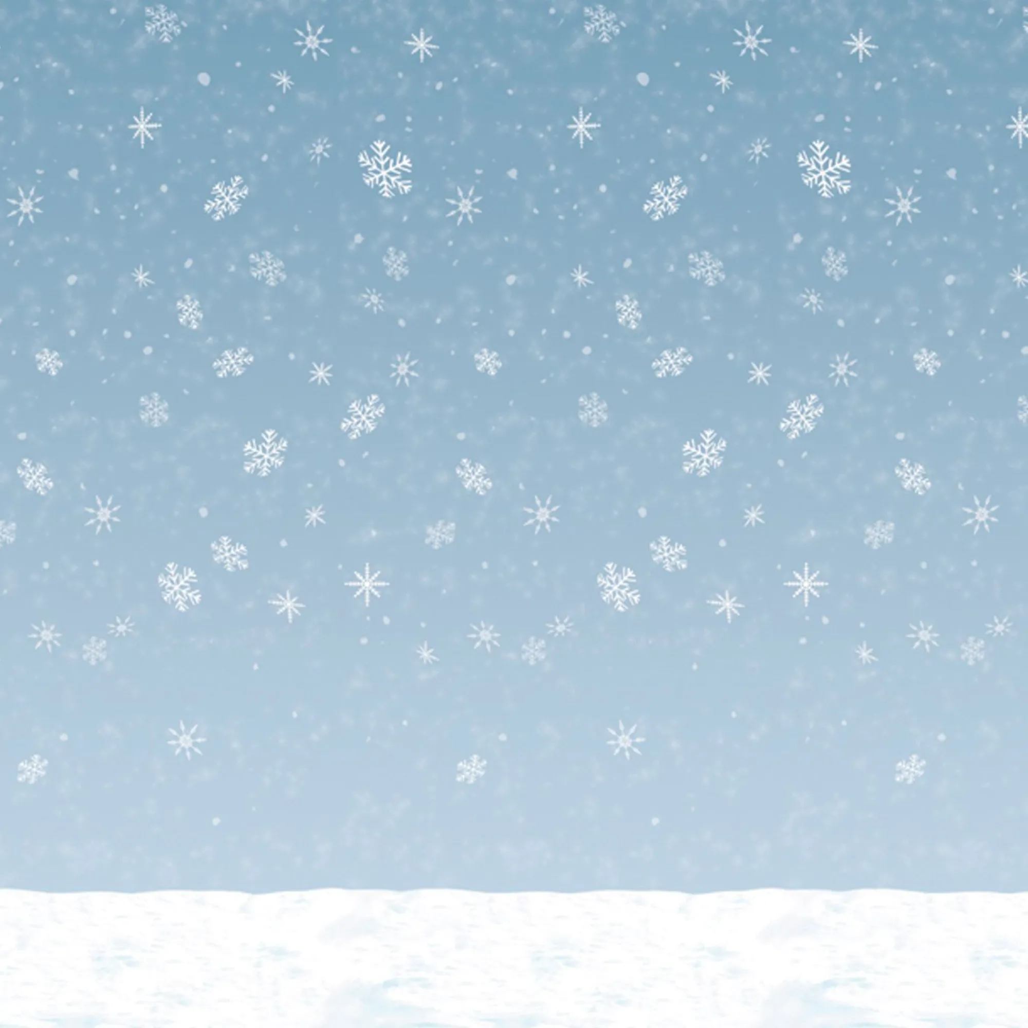 Windy City Novelties Winter Sky 30' Backdrop